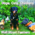 Wall Street Farmers Gallery